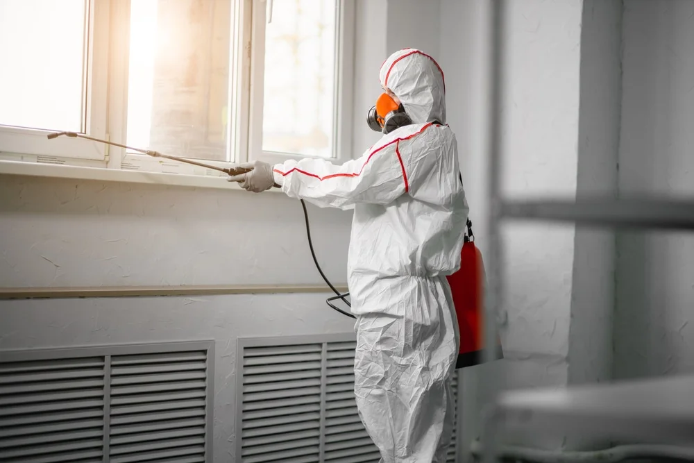 Professional mold remediation services in Earleton, FL